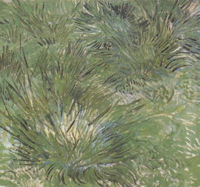 Vincent Van Gogh Clumps of Grass (nn04) China oil painting art